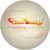 ShivShakti Web Solutions & Services Logotype
