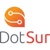 Dotsur LLC Logotype