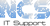 Network Consulting Services, Inc. Logotype
