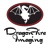DragonFire Imaging Logotype