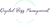 Digital Bizz Management Logotype