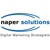Naper Solutions, Inc. Logotype
