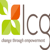 Leader Consulting Group Logotype