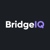BridgeIQ Logotype