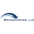 BridgeCross, LLC Logotype
