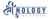 Shreenology Infotech Logotype