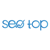 Seo Top Logotype