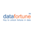 Datafortune INC Logotype