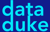 Data Duke Project Consulting Logotype