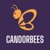 Candorbees Technologies Private Limited Logotype
