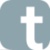 tcube Logotype