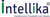Intellika Hitech Systems Pvt. Ltd. Logotype