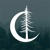 Timber Dark Design Logotype