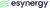 esynergy Logotype