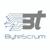 Bytescrum Technologies Private Limited Logotype
