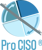 Pro CISO Cybersecurity Logotype