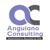 Anguiano Consulting Inc Logotype