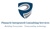 Pinnacle Consulting Group Logotype
