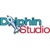Dolphin Studio Pune Logotype