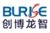 Hunan BLRISE Information Technology Co., Ltd. Logotype