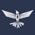 Cyber Guardian Consulting Group Logotype