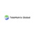 TeleMatrix Global Logotype