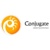 Conjugate Consulting Logotype
