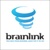 Brainlink International, Inc. Logotype