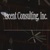 Ascent Consulting, Inc. Logotype