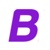 BlindSeer Pty Ltd Logotype