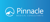 Pinnacle Medical Consultants, LLC Logotype