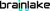 Brainlake Logotype
