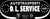 DL Service Logotype