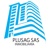 Plusagsas Logotype