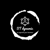 ST Dynamic Digital marketing and web design Logotype