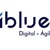 iBlue Consulting Logotype
