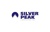 Silver Peak Consulting Logotype