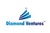 Diamond Ventures Logotype