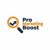 Pro Marketing Boost Logotype