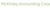 McKinley Accounting Corporation Logotype