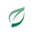 Vine Group Logotype