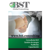 BST Global Consulting Logotype