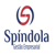 Spíndola Gestão Empresarial Logotype