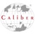 Caliber Tech Solutions Private Limited Logotype