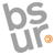 BSUR Logotype