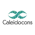 Caleidocons Oy Logotype