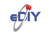 eDIY Software Logotype