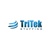 TriTek Staffing Logotype