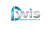 Digital Web IT Solutions PVT. Ltd. Logotype