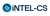 iNTEL-CS Logotype